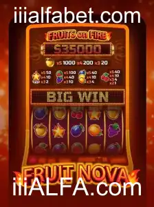 Explorando o Fascinante Jogo FruitNova: Regras e Comandos